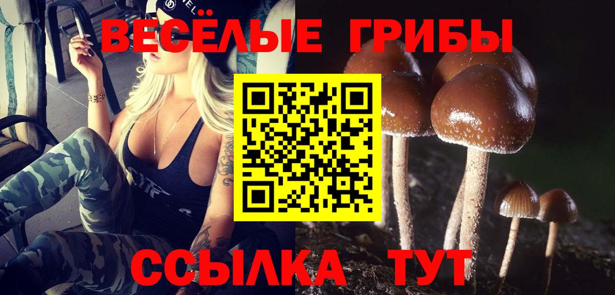 Усолье-Сибирское  Галлюциногенные грибы MAGIC MUSHROOMS  Вход с VPN 