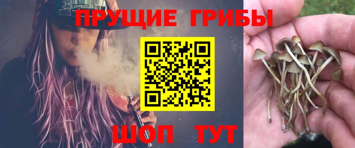 Галлюциногенные грибы мицелий Усолье-Сибирское